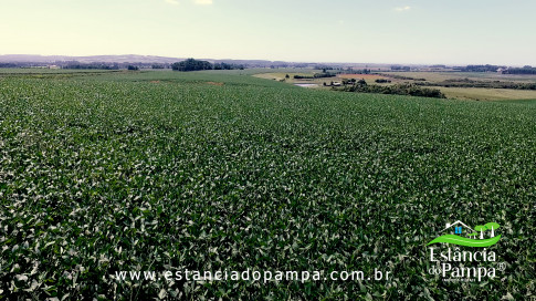 INICIO 3.00_02_12_25.Quadro020_260301cc81f93b10123dd500776197385d7d16dd.jpg